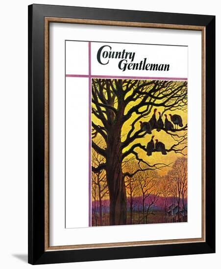 "Wild Turkeys Roosting," Country Gentleman Cover, November 1, 1938-Paul Bransom-Framed Giclee Print