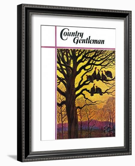 "Wild Turkeys Roosting," Country Gentleman Cover, November 1, 1938-Paul Bransom-Framed Giclee Print