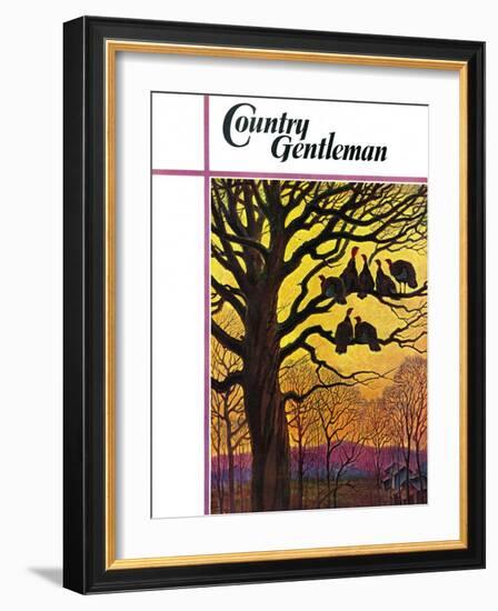 "Wild Turkeys Roosting," Country Gentleman Cover, November 1, 1938-Paul Bransom-Framed Giclee Print