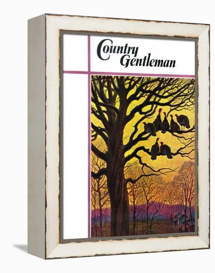 "Wild Turkeys Roosting," Country Gentleman Cover, November 1, 1938-Paul Bransom-Framed Premier Image Canvas