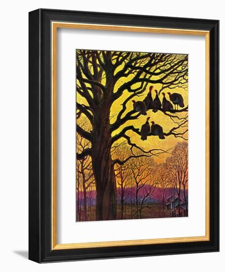 "Wild Turkeys Roosting,"November 1, 1938-Paul Bransom-Framed Giclee Print