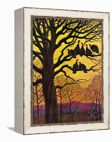 "Wild Turkeys Roosting,"November 1, 1938-Paul Bransom-Framed Premier Image Canvas