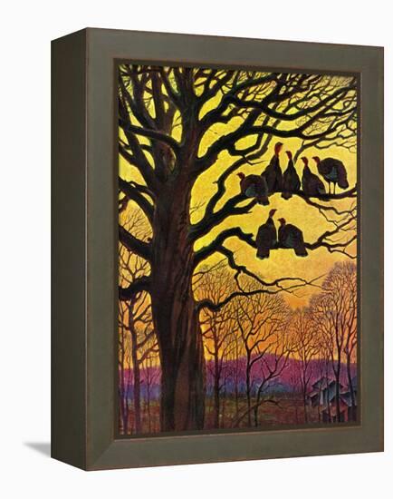 "Wild Turkeys Roosting,"November 1, 1938-Paul Bransom-Framed Premier Image Canvas