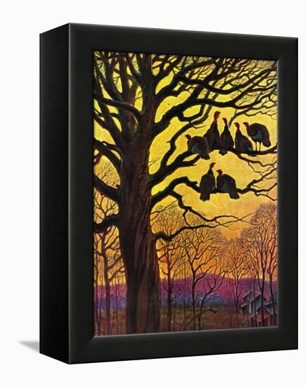 "Wild Turkeys Roosting,"November 1, 1938-Paul Bransom-Framed Premier Image Canvas