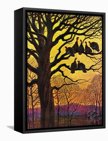 "Wild Turkeys Roosting,"November 1, 1938-Paul Bransom-Framed Premier Image Canvas