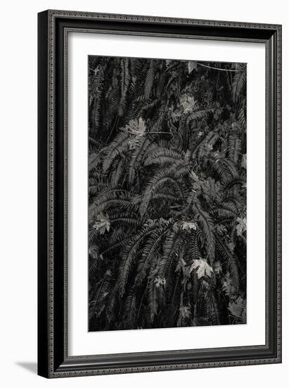 Wild Views-Andrew Geiger-Framed Giclee Print