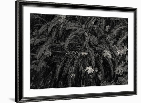 Wild Vista-Andrew Geiger-Framed Giclee Print