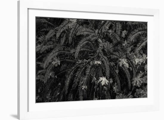 Wild Vista-Andrew Geiger-Framed Giclee Print