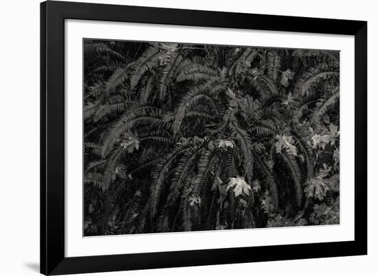 Wild Vista-Andrew Geiger-Framed Giclee Print