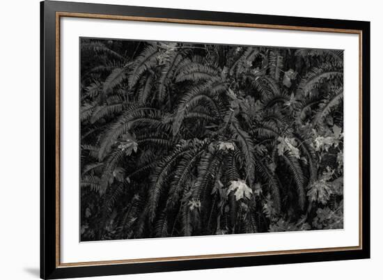 Wild Vista-Andrew Geiger-Framed Giclee Print