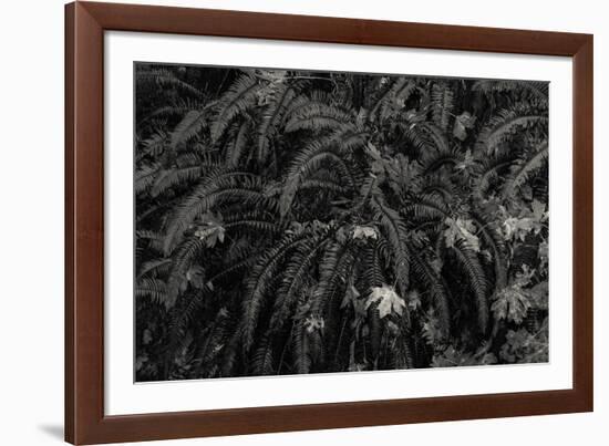 Wild Vista-Andrew Geiger-Framed Giclee Print