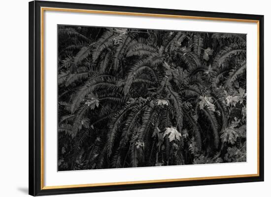 Wild Vista-Andrew Geiger-Framed Giclee Print