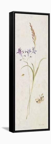 Wild Wallflowers III Panel-Cheri Blum-Framed Stretched Canvas