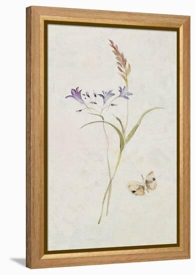 Wild Wallflowers III-Cheri Blum-Framed Stretched Canvas