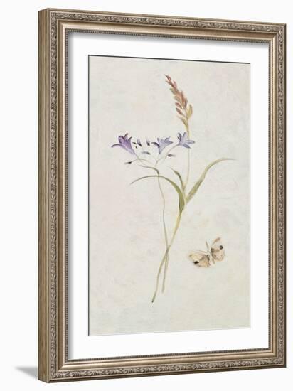 Wild Wallflowers III-Cheri Blum-Framed Art Print