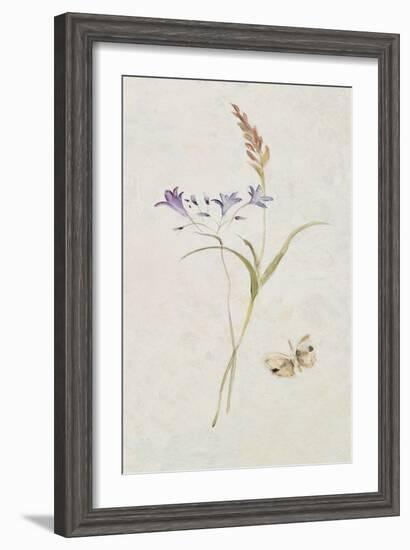 Wild Wallflowers III-Cheri Blum-Framed Art Print