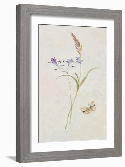 Wild Wallflowers III-Cheri Blum-Framed Art Print