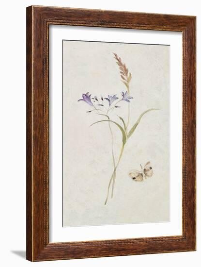 Wild Wallflowers III-Cheri Blum-Framed Art Print