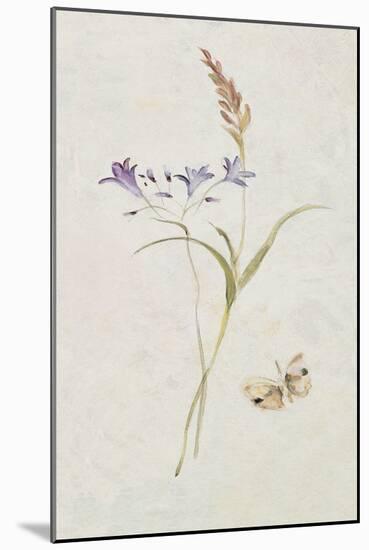 Wild Wallflowers III-Cheri Blum-Mounted Art Print