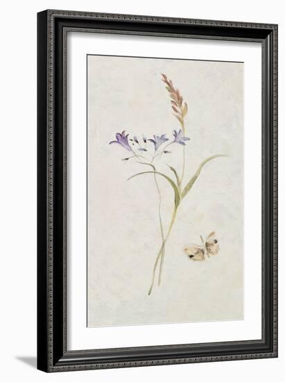 Wild Wallflowers III-Cheri Blum-Framed Art Print