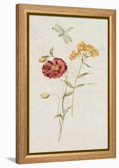 Wild Wallflowers IV-Cheri Blum-Framed Stretched Canvas