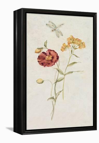 Wild Wallflowers IV-Cheri Blum-Framed Stretched Canvas