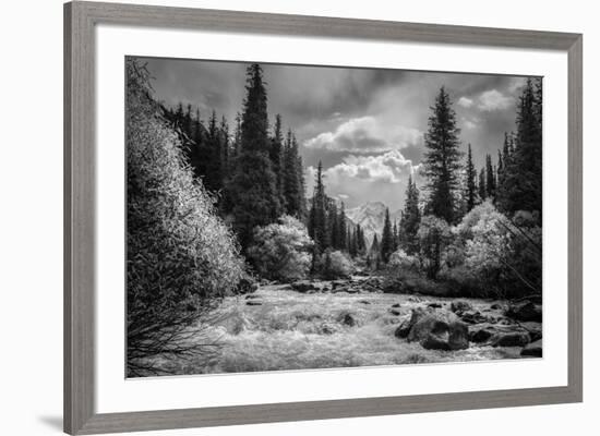 Wild Waterway-Andrew Geiger-Framed Giclee Print