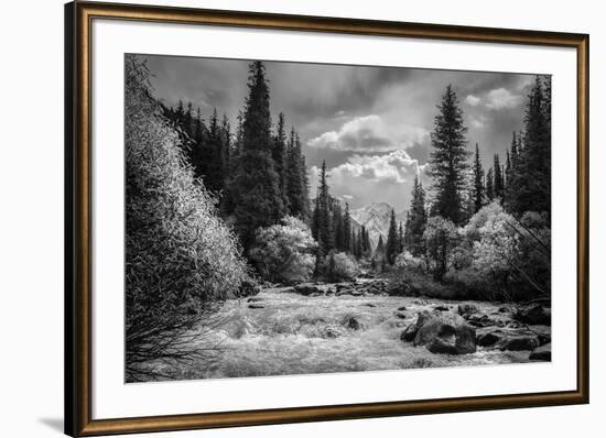 Wild Waterway-Andrew Geiger-Framed Giclee Print