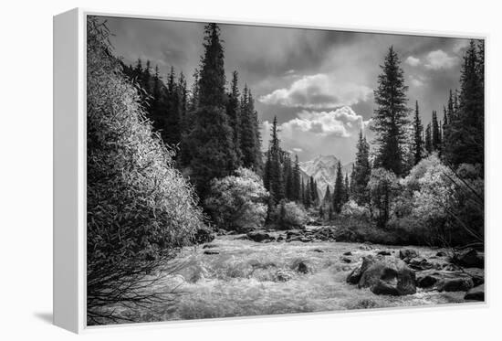 Wild Waterway-Andrew Geiger-Framed Stretched Canvas