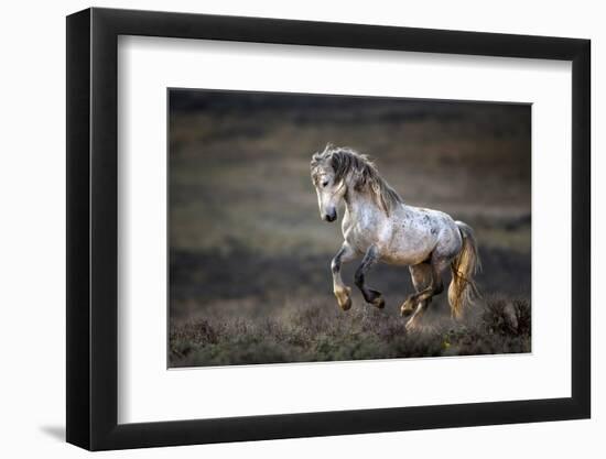 Wild Wild West-Verdon-Framed Photographic Print