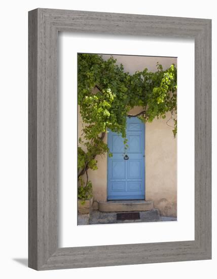 Wild wine on old wall of a house, Provence, the South of France-Andrea Haase-Framed Photographic Print