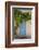 Wild wine on old wall of a house, Provence, the South of France-Andrea Haase-Framed Photographic Print