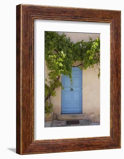 Wild wine on old wall of a house, Provence, the South of France-Andrea Haase-Framed Photographic Print