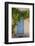 Wild wine on old wall of a house, Provence, the South of France-Andrea Haase-Framed Photographic Print