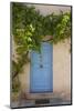 Wild wine on old wall of a house, Provence, the South of France-Andrea Haase-Mounted Photographic Print