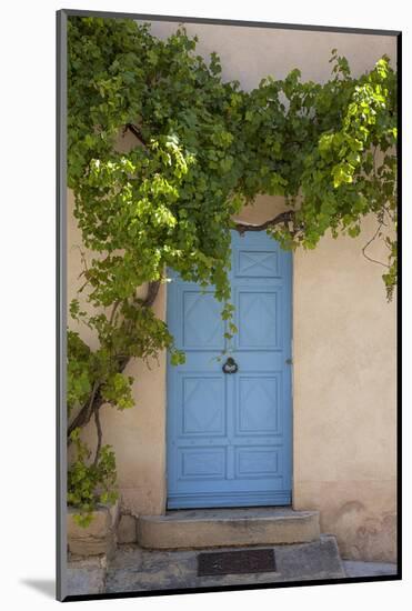 Wild wine on old wall of a house, Provence, the South of France-Andrea Haase-Mounted Photographic Print