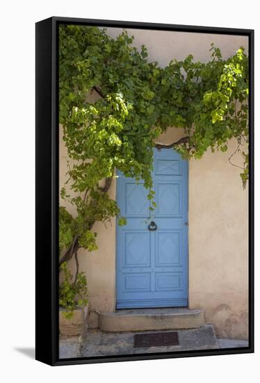 Wild wine on old wall of a house, Provence, the South of France-Andrea Haase-Framed Stretched Canvas