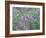 Wild Wisteria-null-Framed Photographic Print