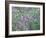 Wild Wisteria-null-Framed Photographic Print