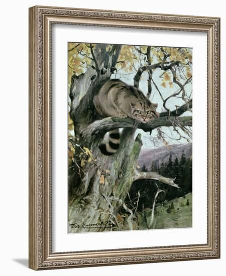 Wildcat in a Tree, 1902-Wilhelm Kuhnert-Framed Giclee Print