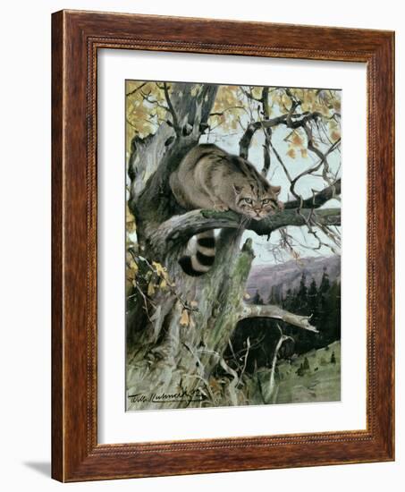 Wildcat in a Tree, 1902-Wilhelm Kuhnert-Framed Giclee Print