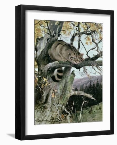 Wildcat in a Tree, 1902-Wilhelm Kuhnert-Framed Giclee Print