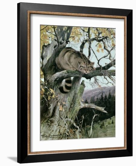 Wildcat in a Tree, 1902-Wilhelm Kuhnert-Framed Giclee Print