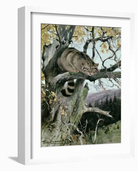 Wildcat in a Tree, 1902-Wilhelm Kuhnert-Framed Giclee Print