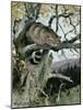 Wildcat in a Tree, 1902-Wilhelm Kuhnert-Mounted Giclee Print