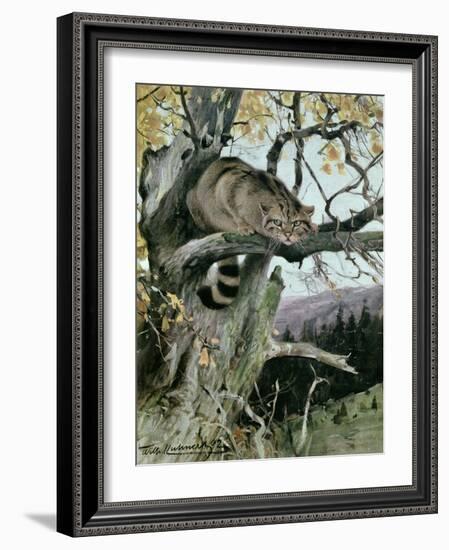 Wildcat in a Tree, 1902-Wilhelm Kuhnert-Framed Giclee Print