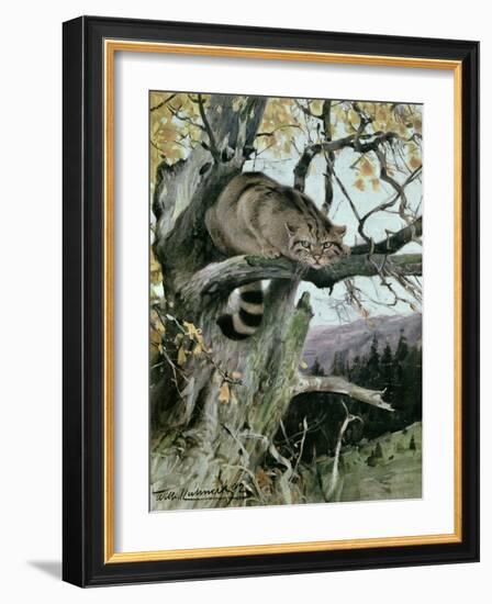 Wildcat in a Tree, 1902-Wilhelm Kuhnert-Framed Giclee Print