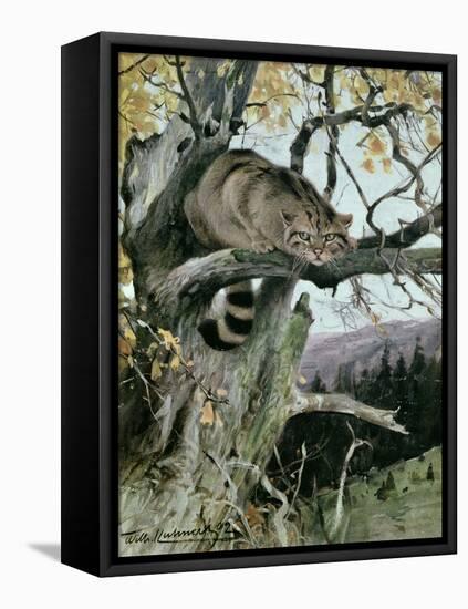Wildcat in a Tree, 1902-Wilhelm Kuhnert-Framed Premier Image Canvas