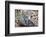 Wildcat with Offspring-Reiner Bernhardt-Framed Photographic Print