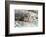 Wildcat-Reiner Bernhardt-Framed Photographic Print